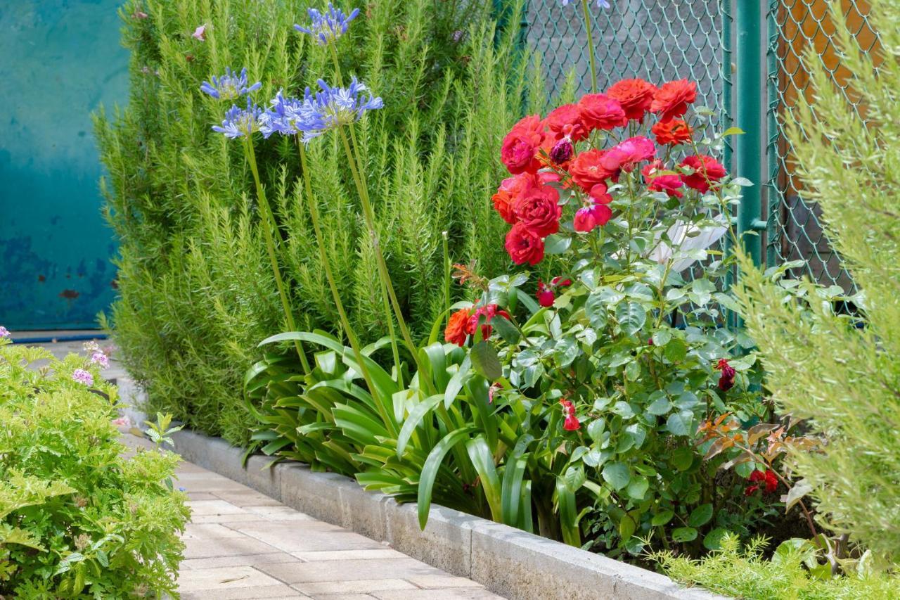 Garden Apartment Вела-Лука Экстерьер фото